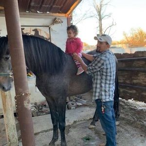 Meet your Posher, Abel